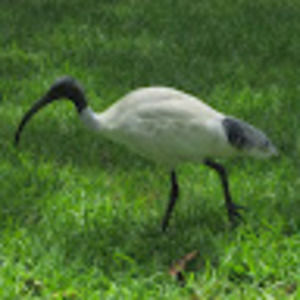 Meet your Posher, Zach